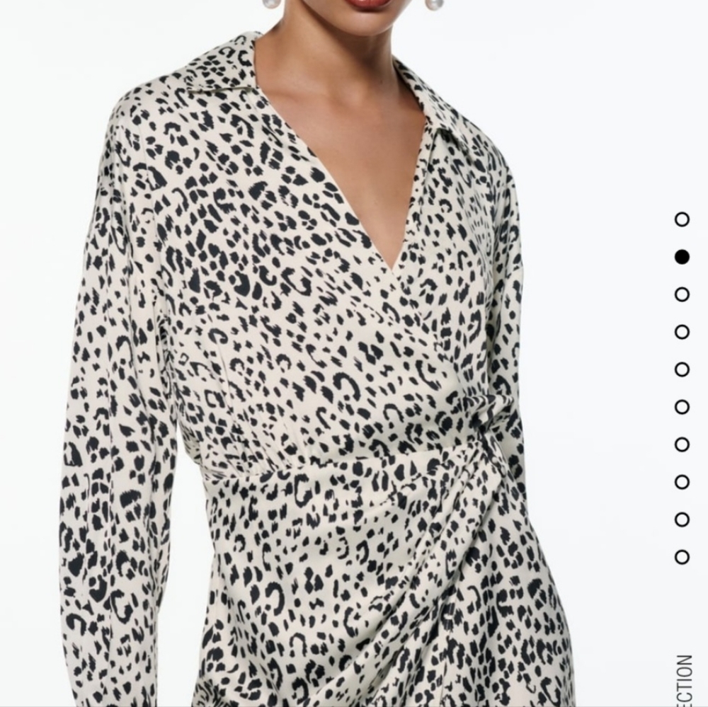 Zara dress